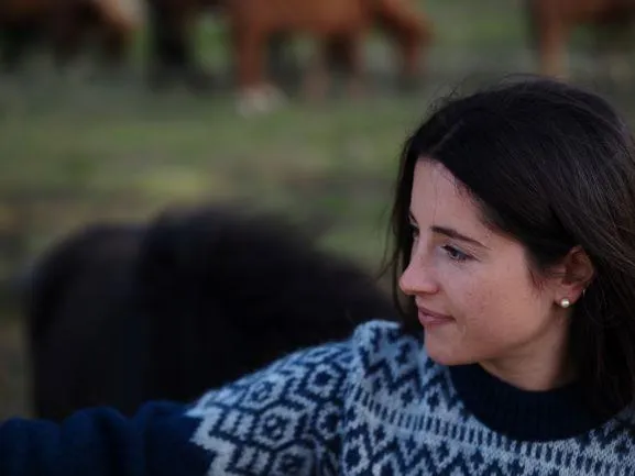 Borg - Icelandic Blue sweater