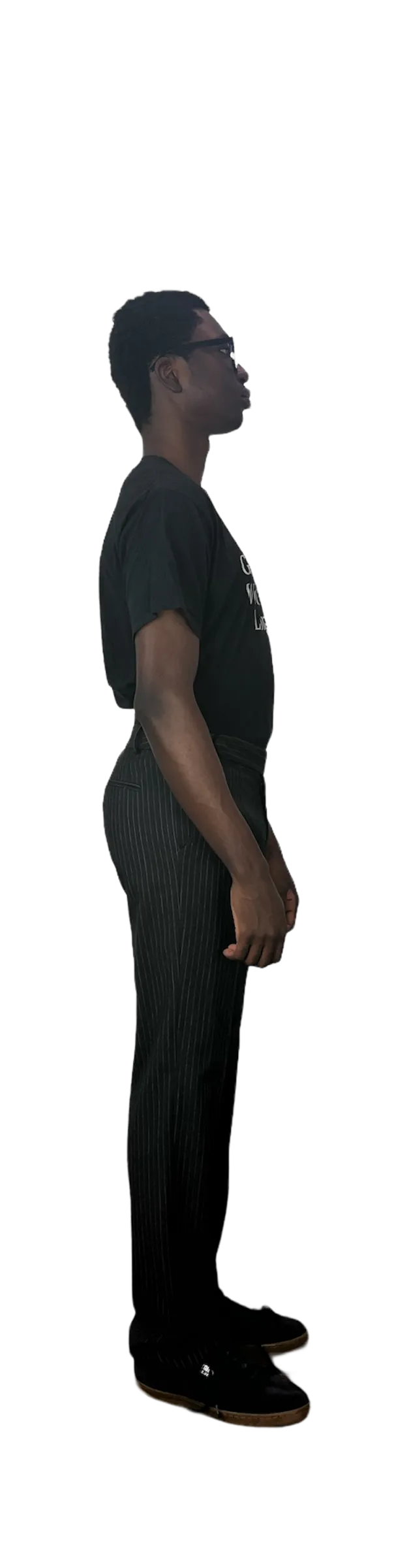 Pinstripe Pant